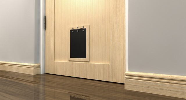 Cat Flap Installation Harlesden, Willesden, NW10