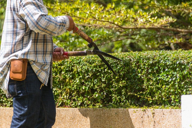 Garden Maintenance Harlesden, Willesden, NW10